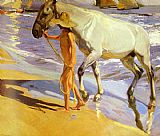 Joaquin Sorolla y Bastida - El bano del caballo [The Horse's Bath] painting